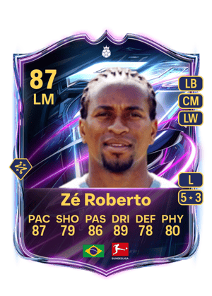 Zé Roberto