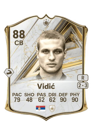 Vidić