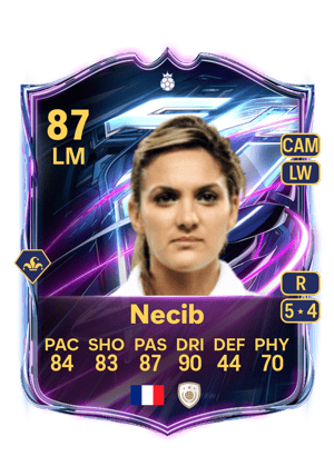 Necib