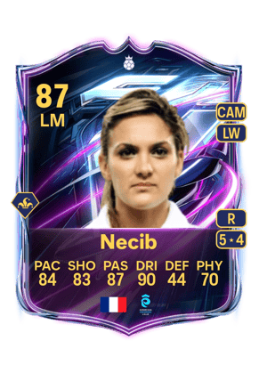 Necib